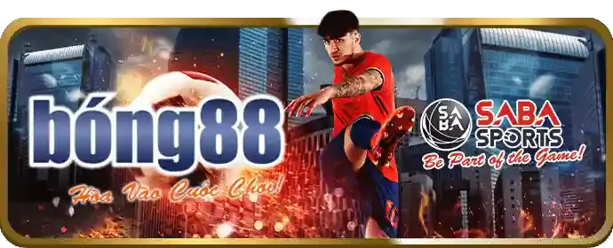 Cá cược bóng đá 55de